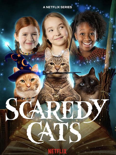 cats imdb|cat series season 2.